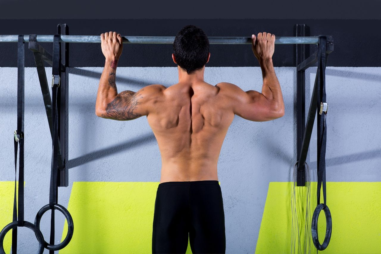 barre de traction avis comparatif