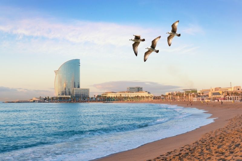 barcelone sport