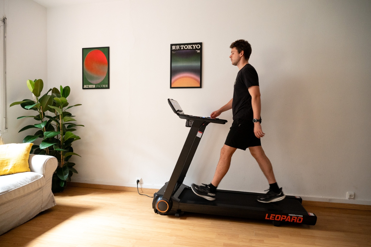 rémi qui marche sur moovyoo léopard